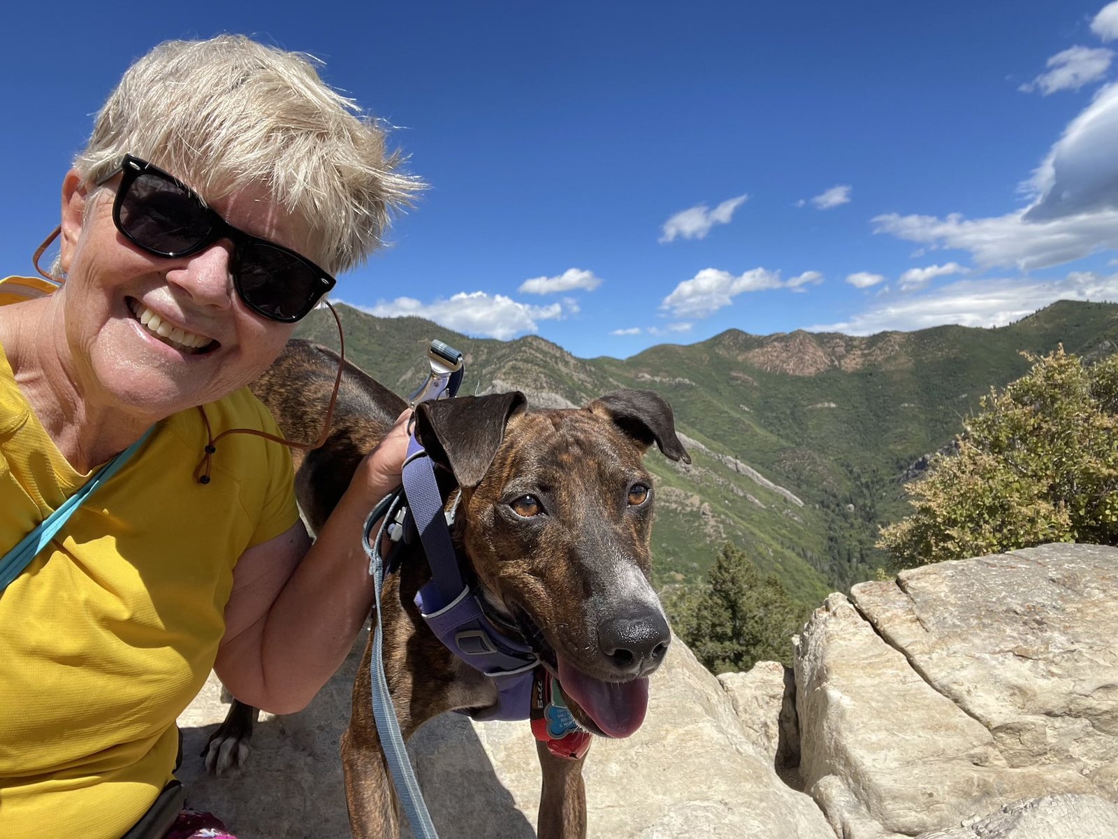 SW head shot with dog-min